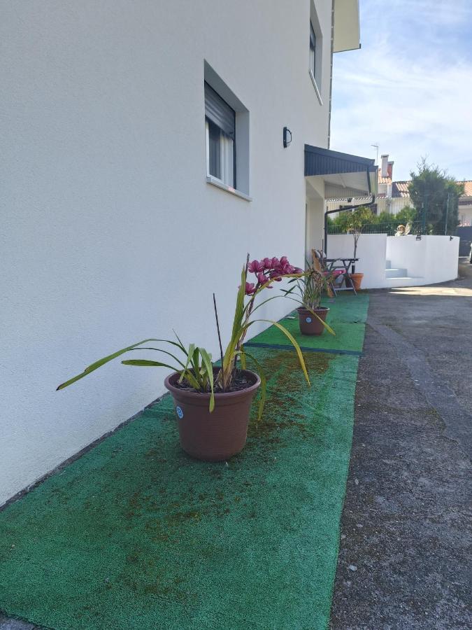 Cabedelo Seaside Guesthouse Viana do Castelo Zewnętrze zdjęcie